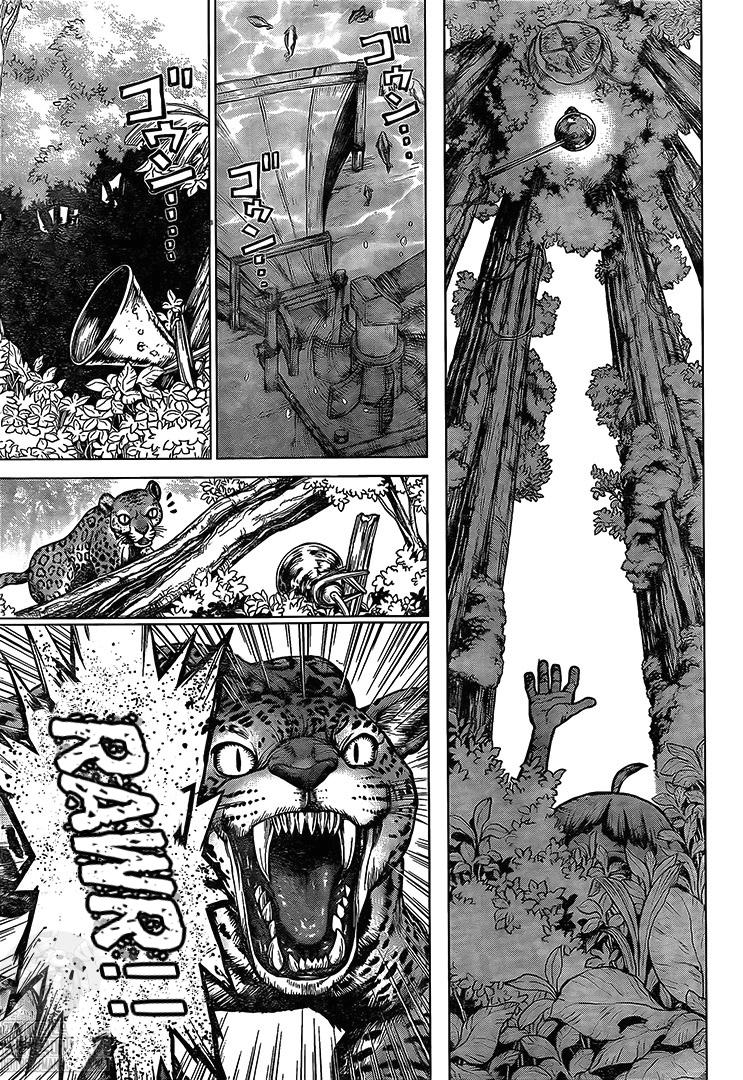 Read DrStone Manga Online
