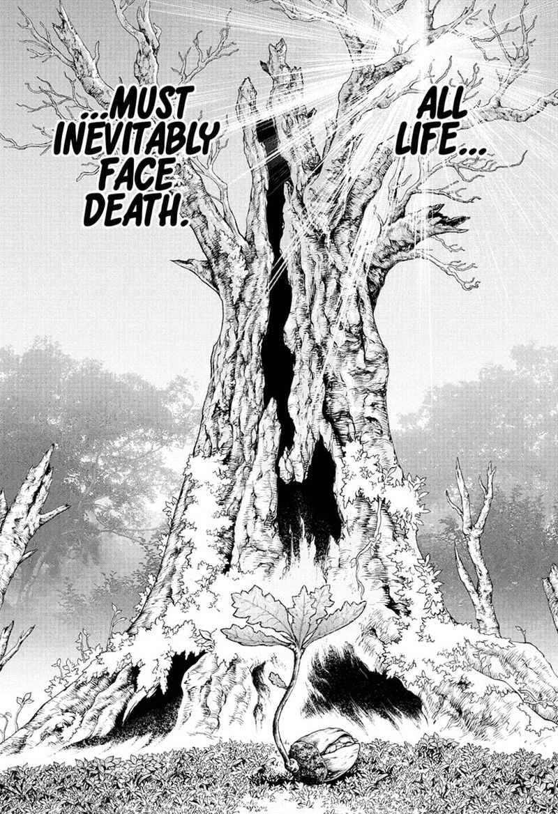 Read DrStone Manga Online