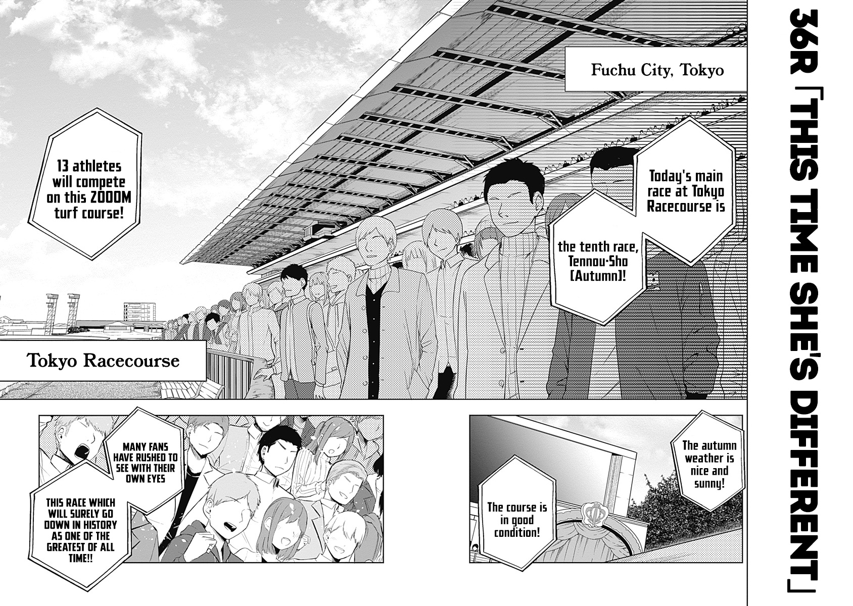 Read Uma Musume Cinderella Gray Manga Online