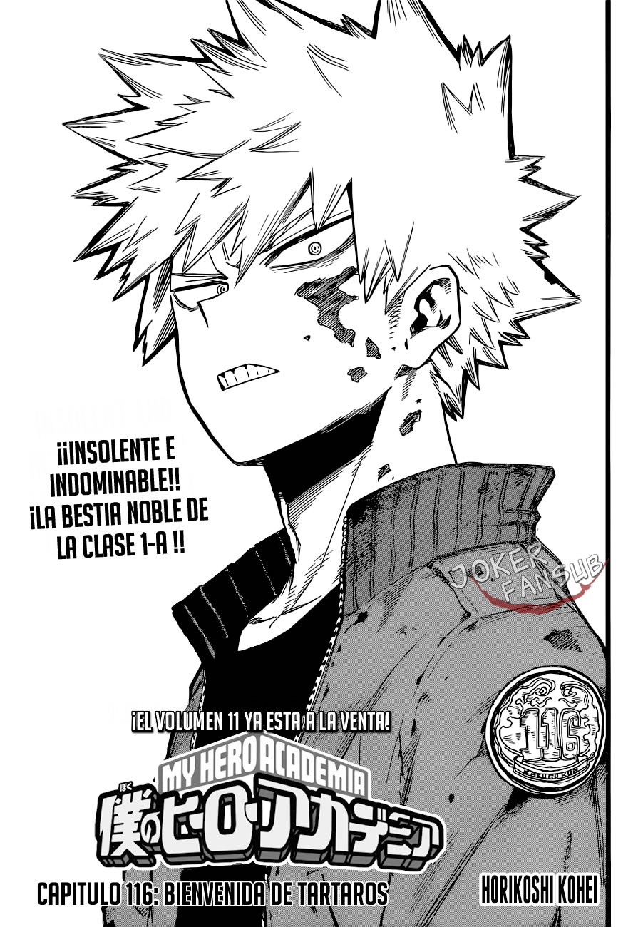 Read Boku no Hero Academia ES Manga Online