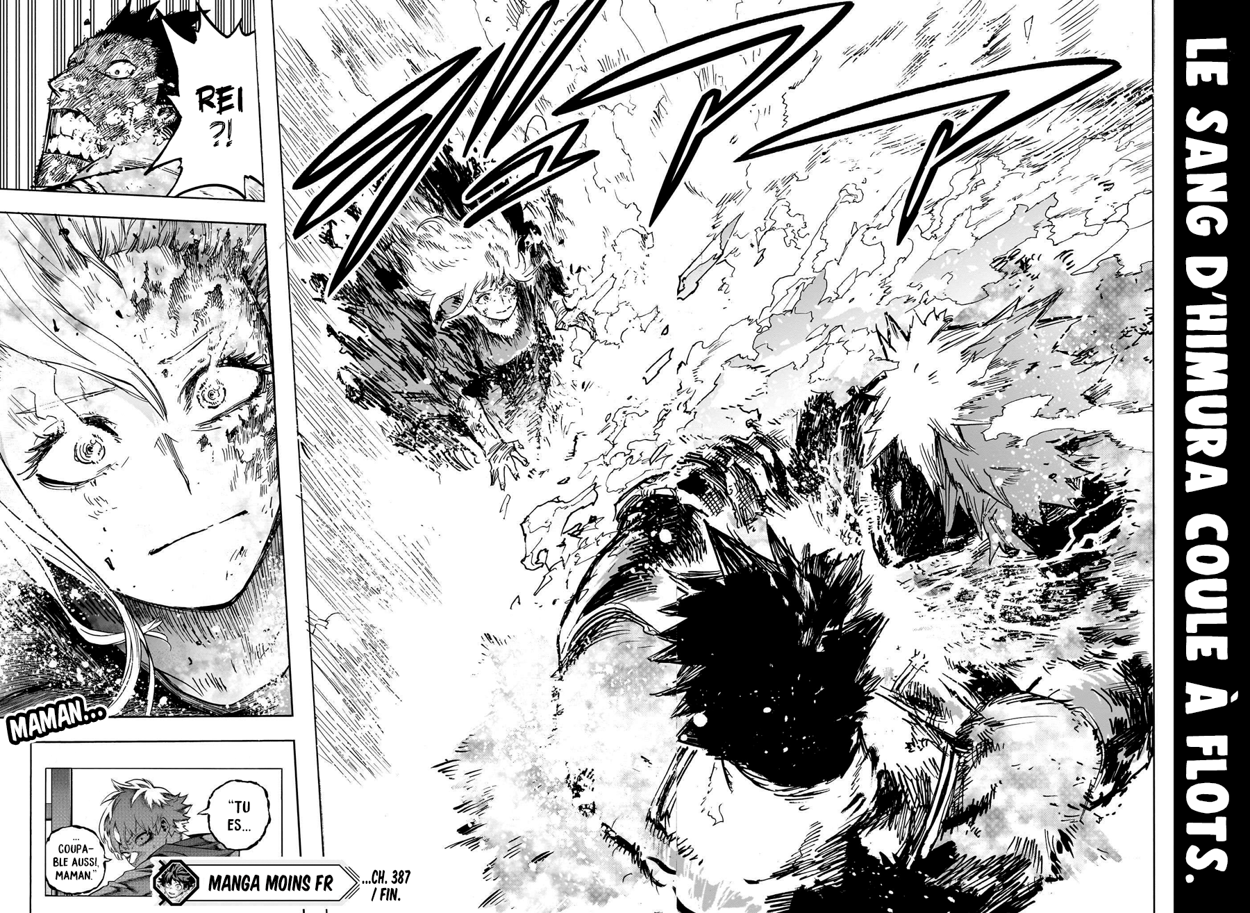 Read Boku no Hero Academia FR Manga Online