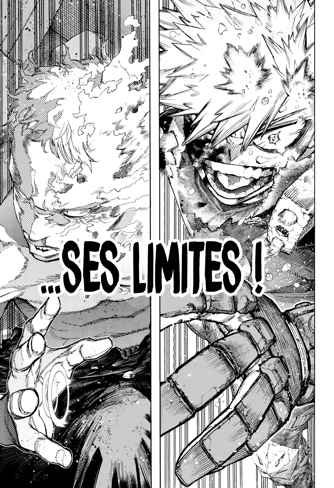 Read Boku no Hero Academia FR Manga Online