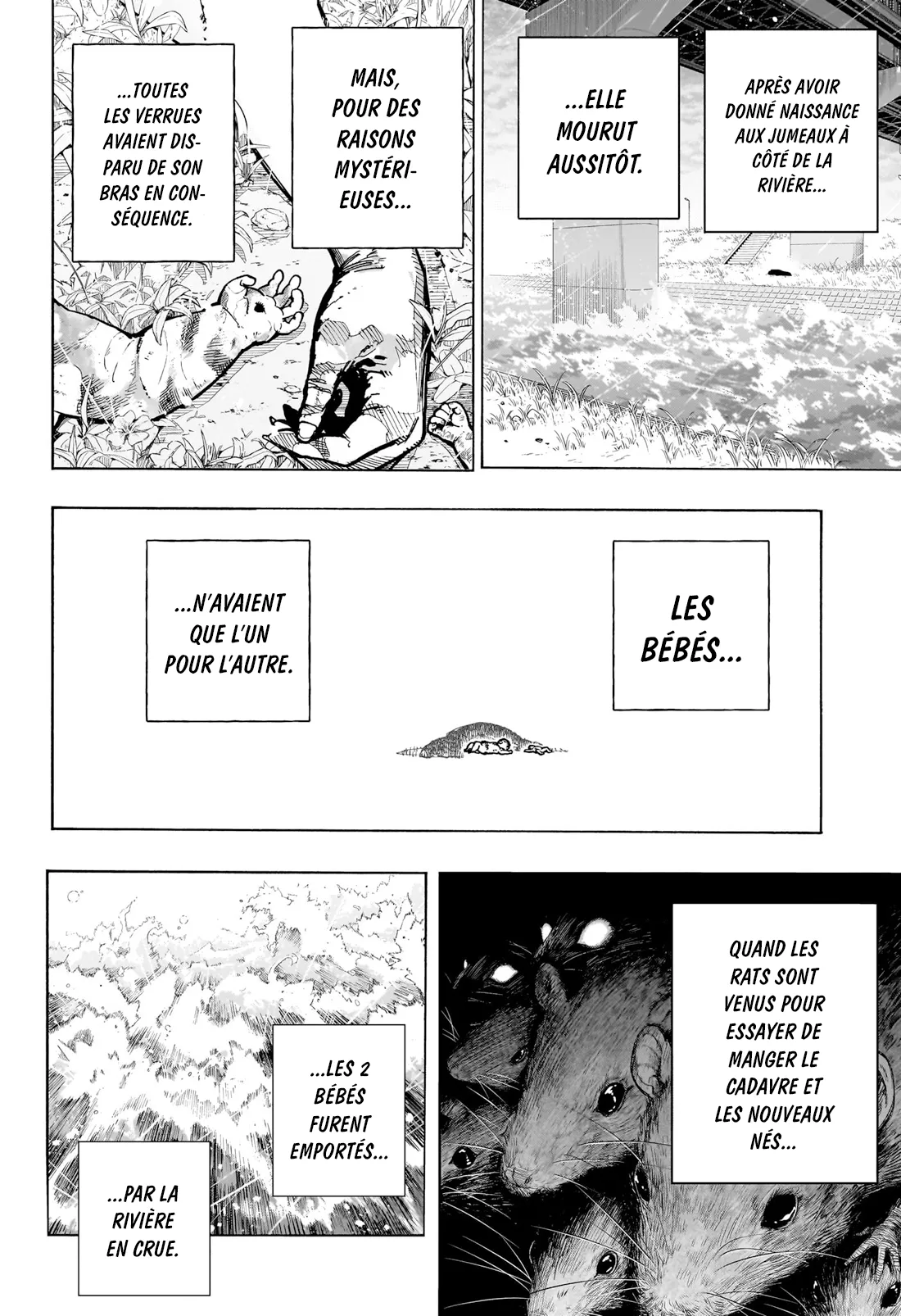 Read Boku no Hero Academia FR Manga Online