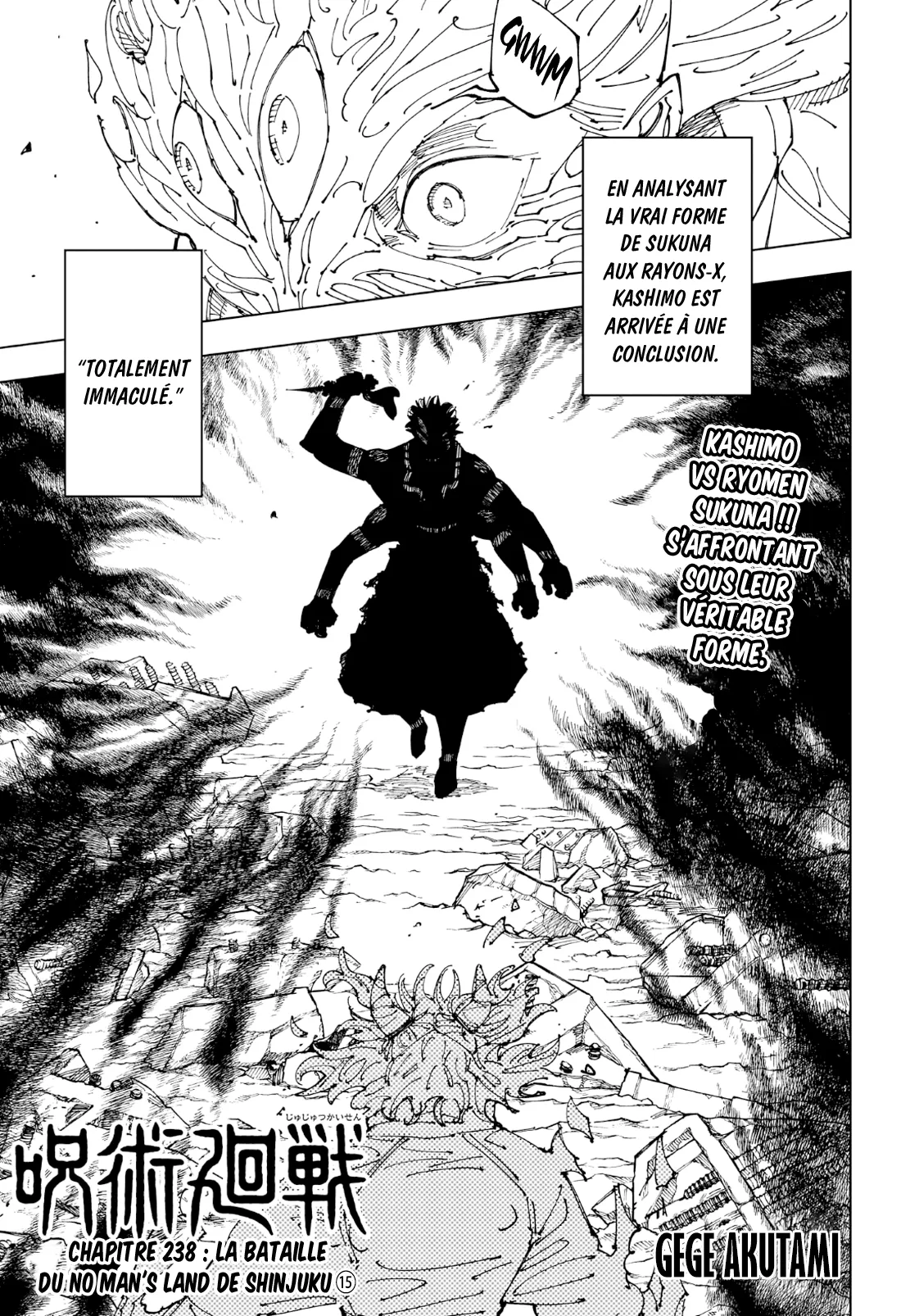 Read Jujutsu Kaisen FR Manga Online