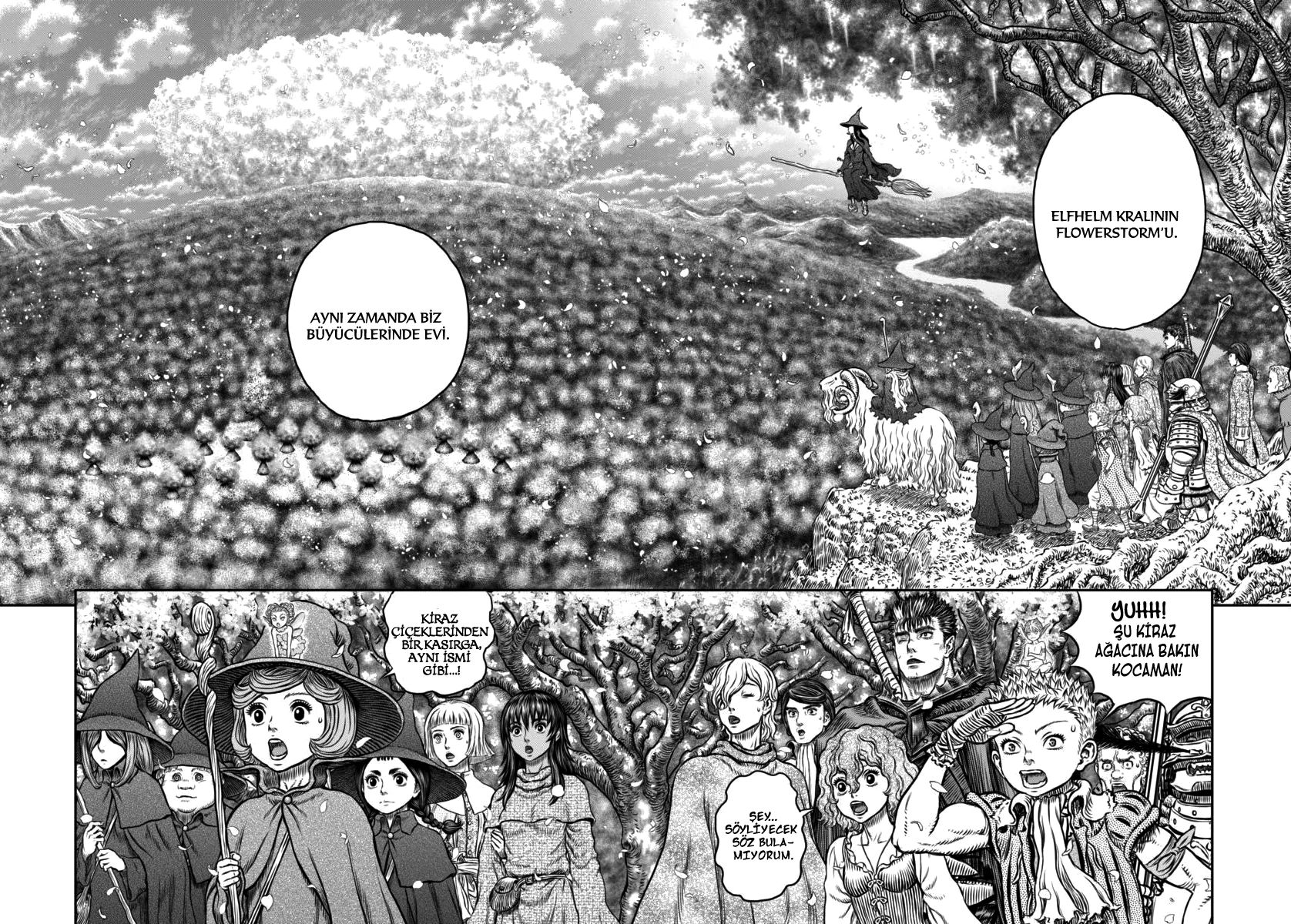 Read Berserk TR Manga Online