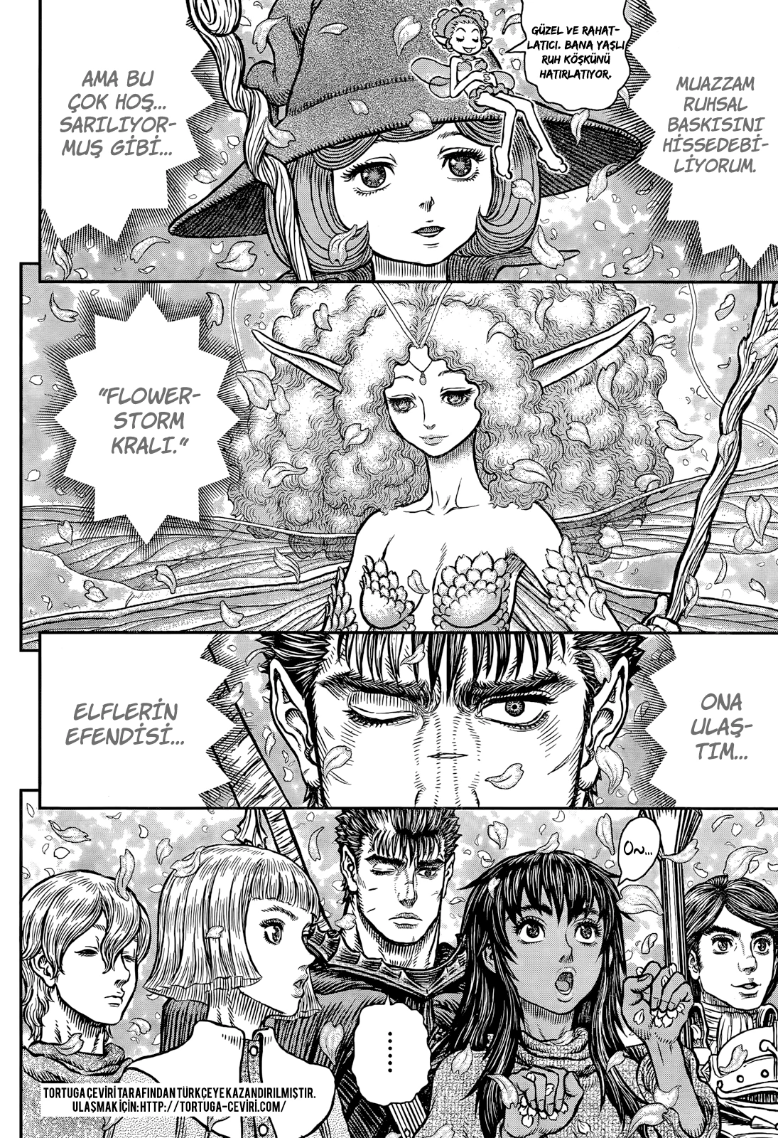 Read Berserk TR Manga Online