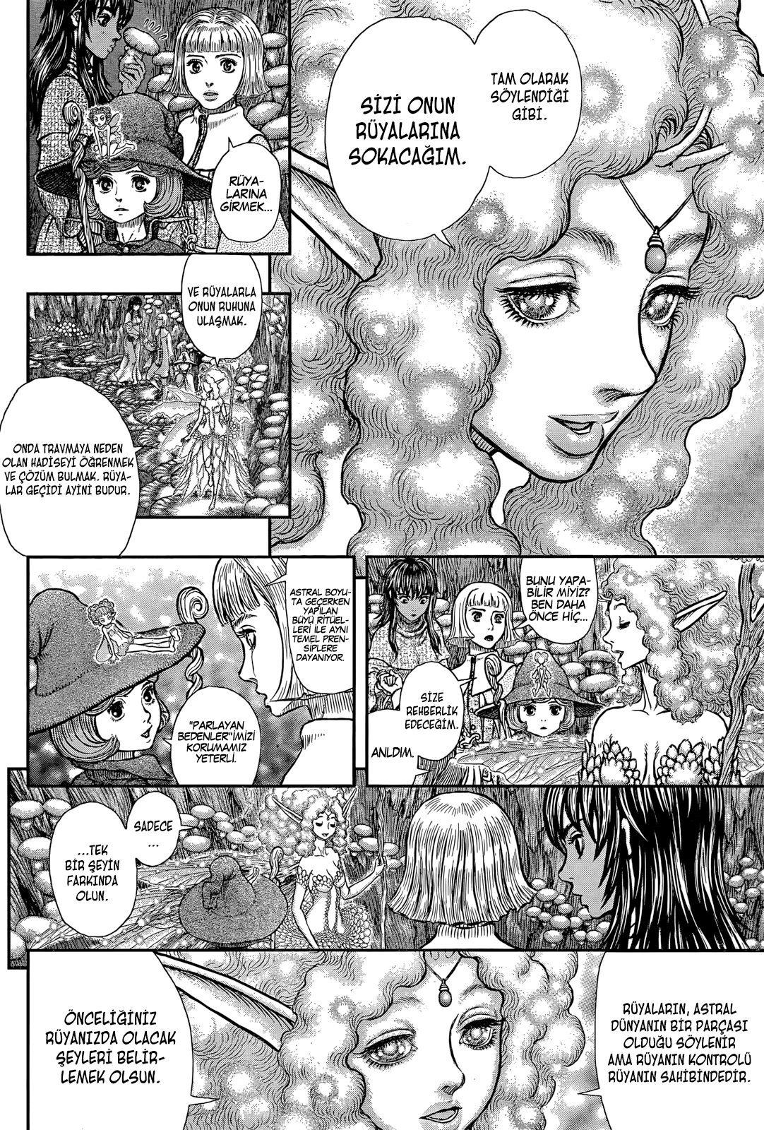 Read Berserk TR Manga Online