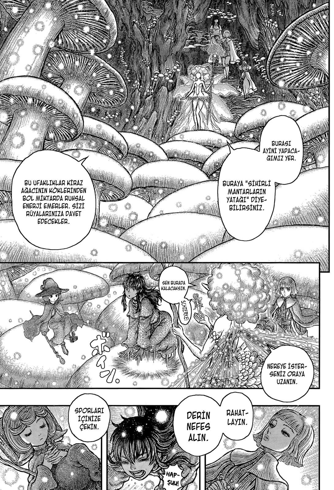 Read Berserk TR Manga Online