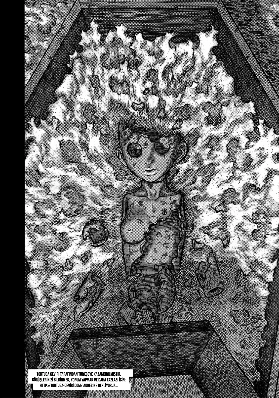 Read Berserk TR Manga Online