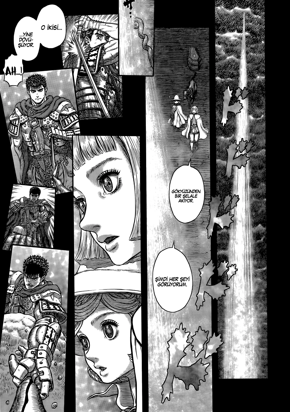 Read Berserk TR Manga Online
