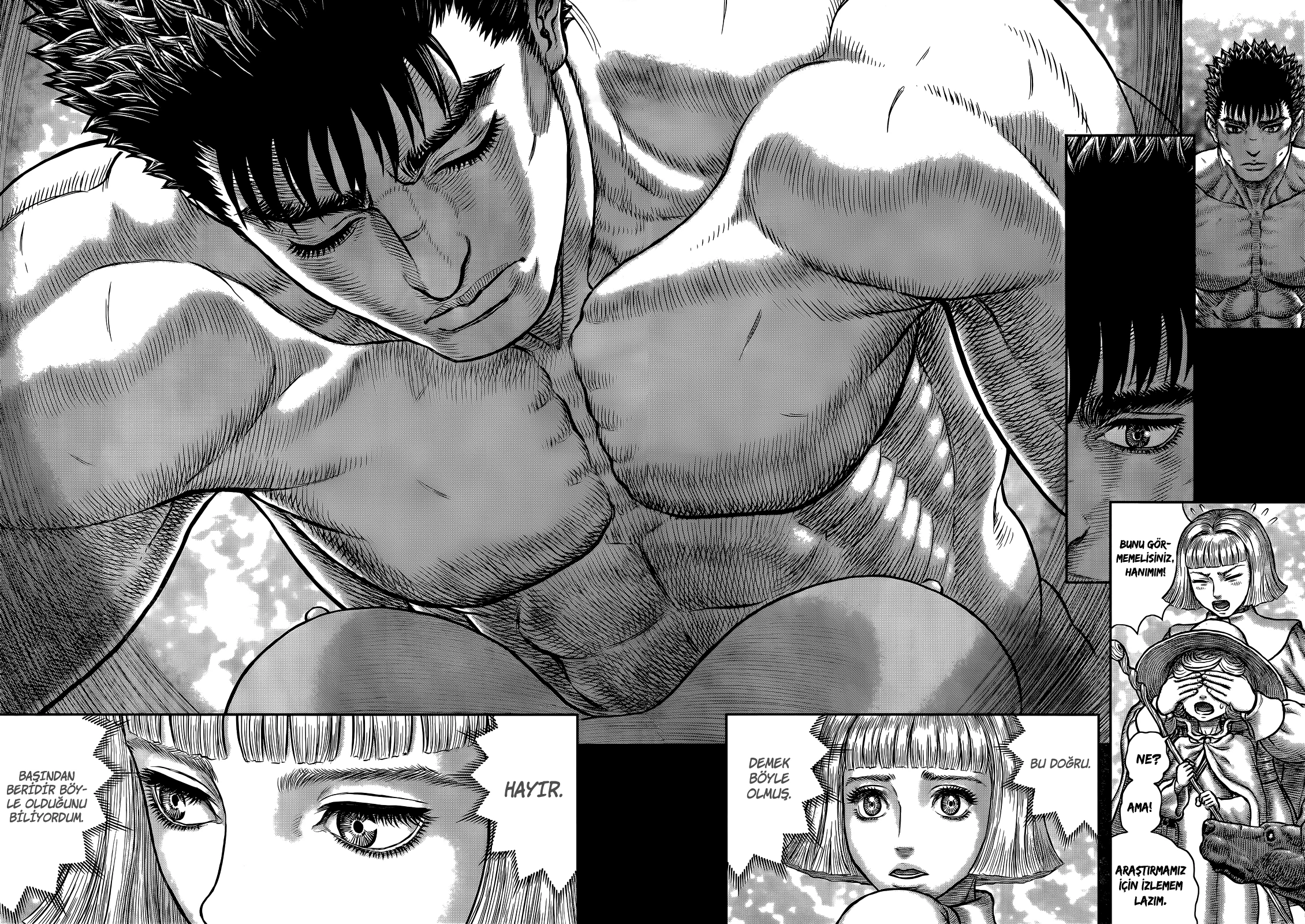 Read Berserk TR Manga Online