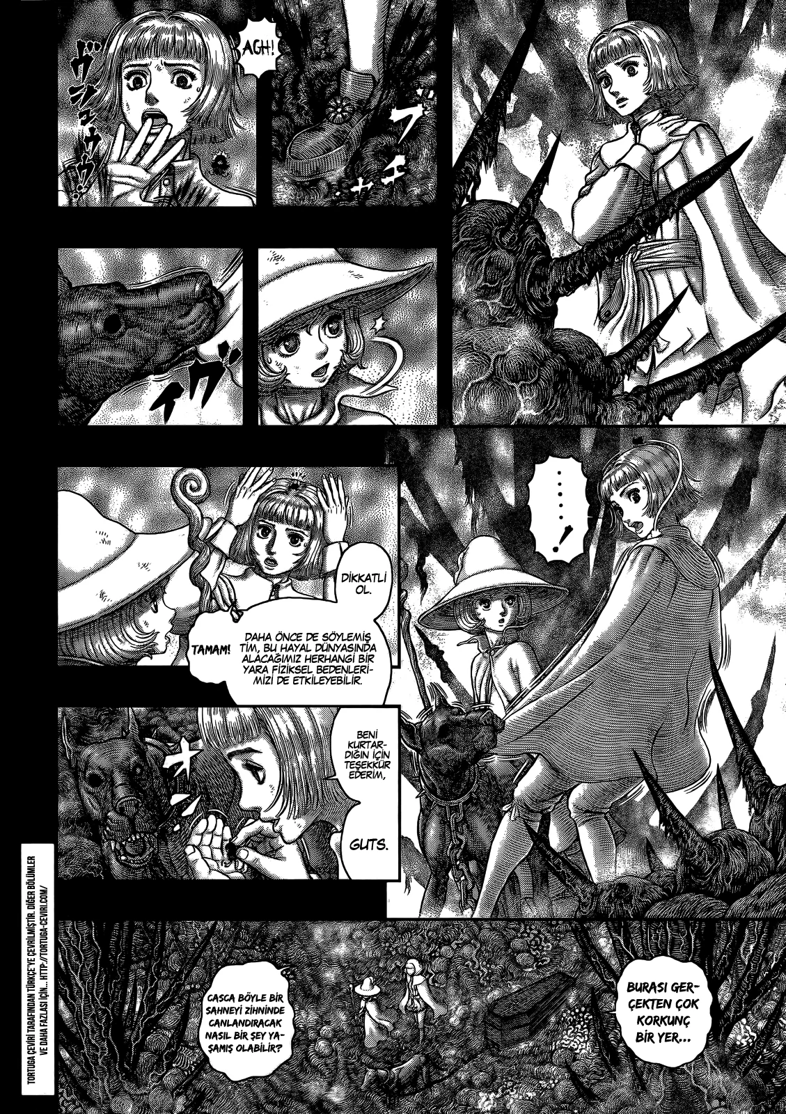Read Berserk TR Manga Online