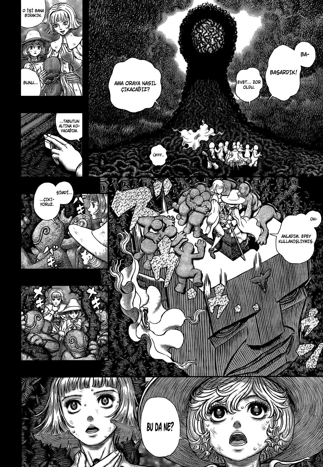 Read Berserk TR Manga Online