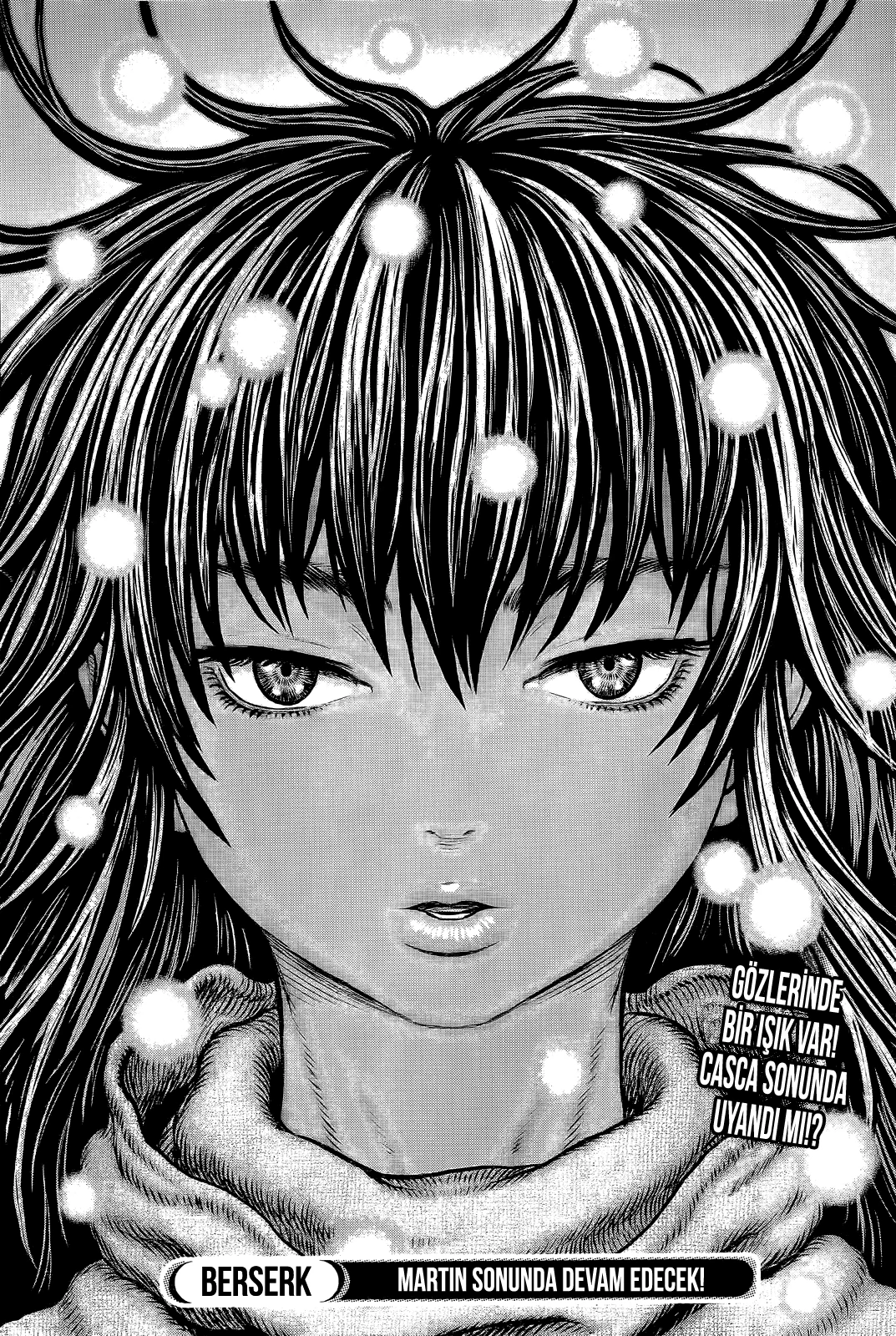 Read Berserk TR Manga Online