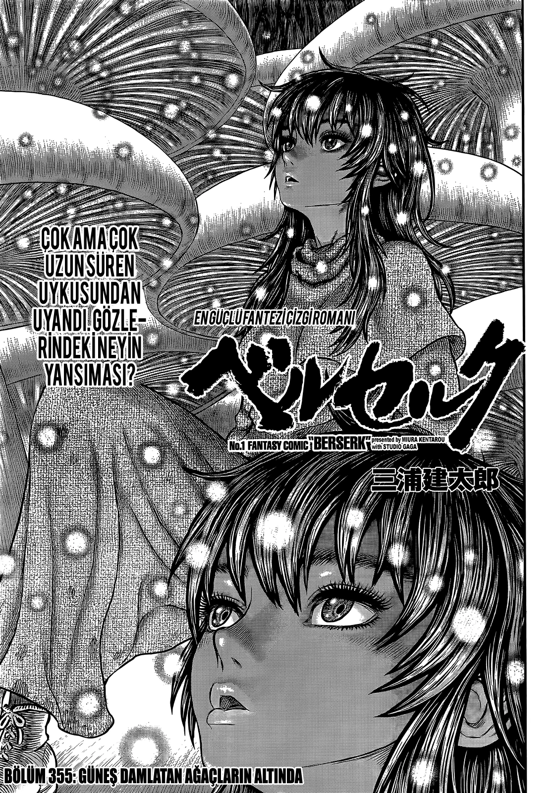 Read Berserk TR Manga Online