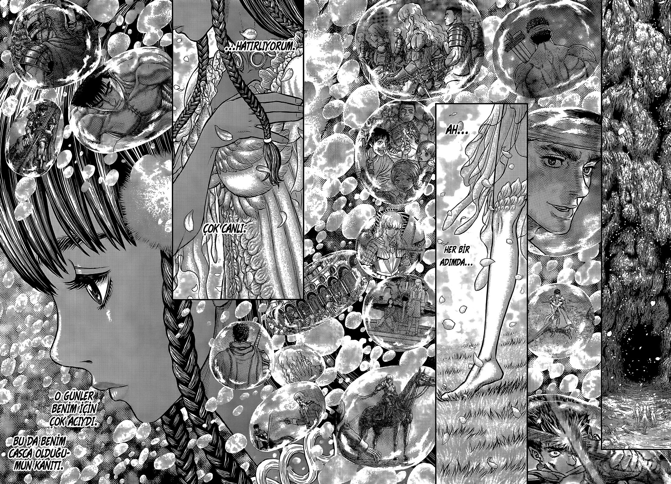 Read Berserk TR Manga Online