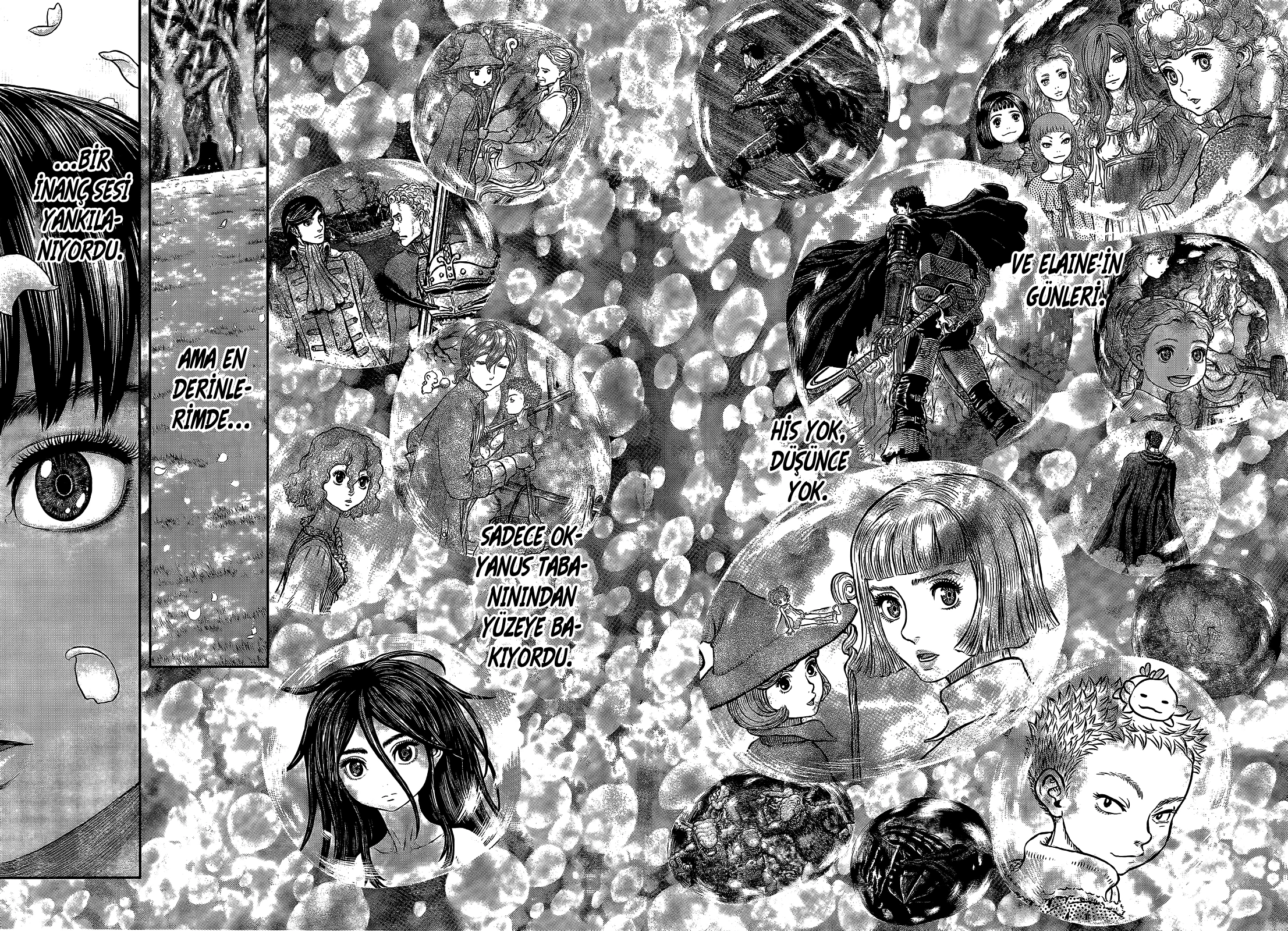 Read Berserk TR Manga Online