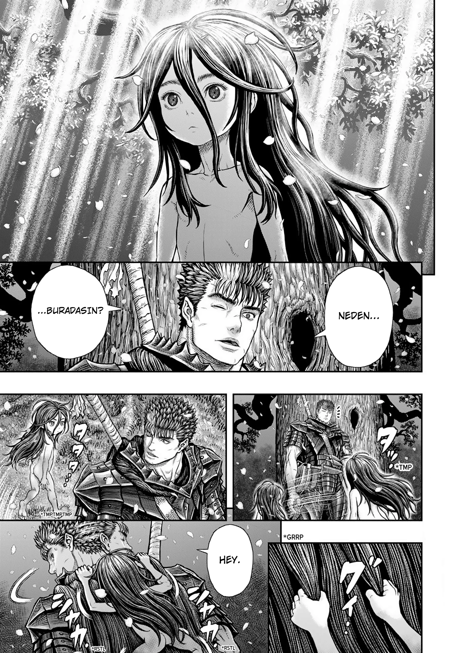Read Berserk TR Manga Online