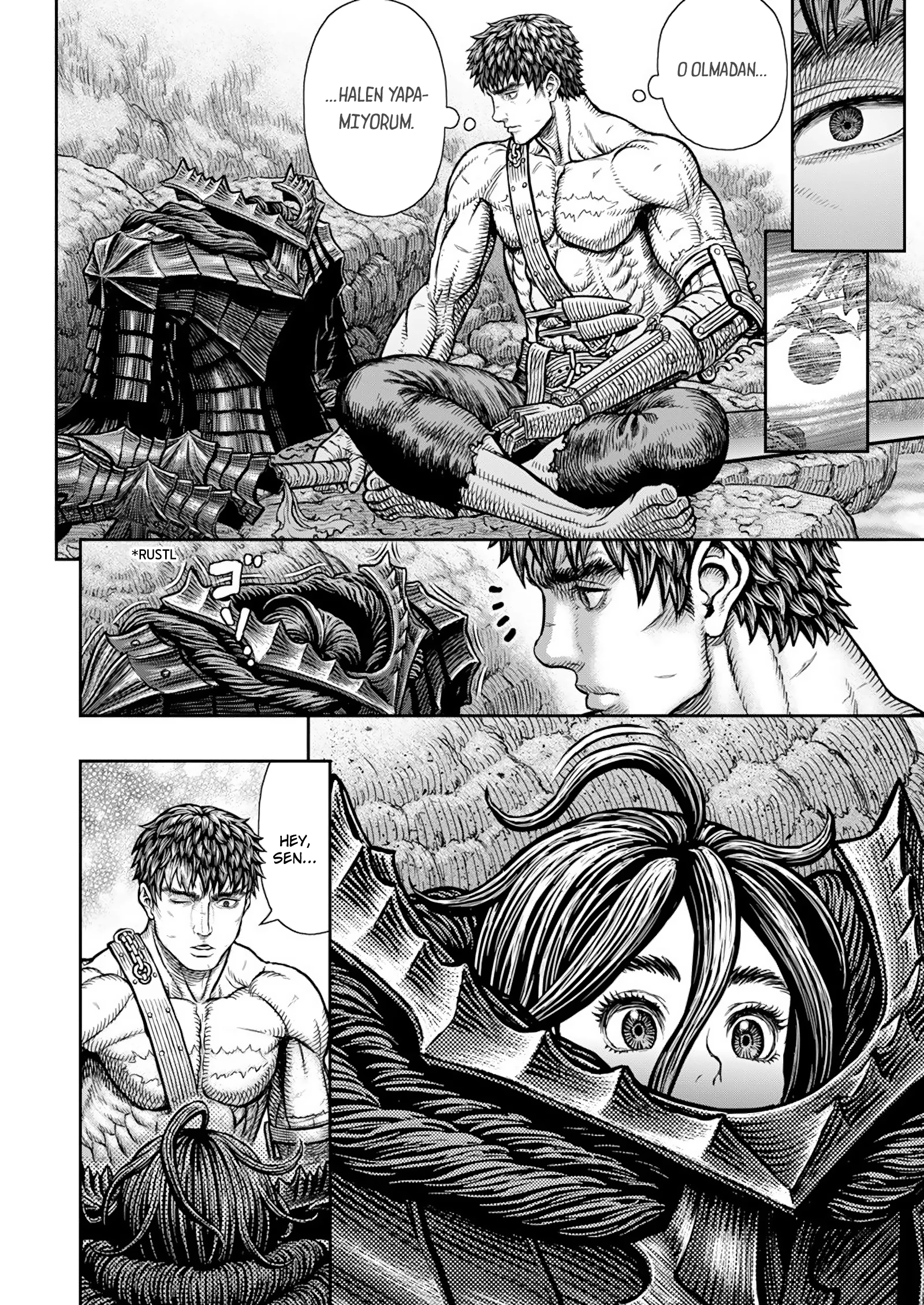 Read Berserk TR Manga Online