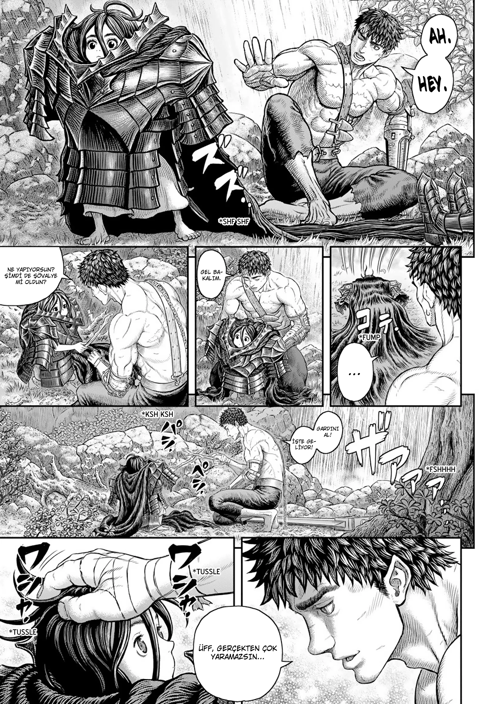 Read Berserk TR Manga Online