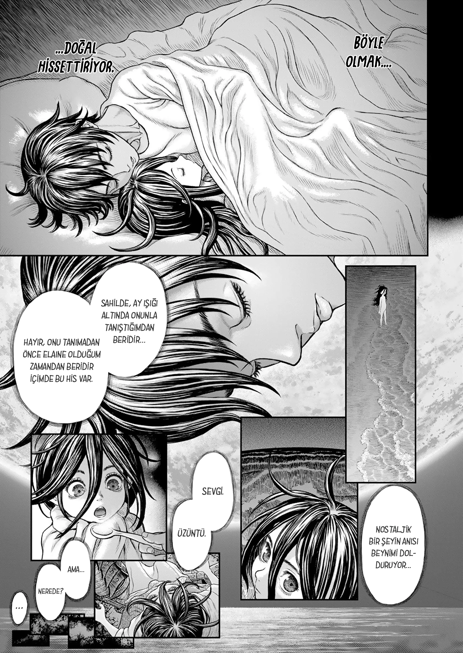 Read Berserk TR Manga Online