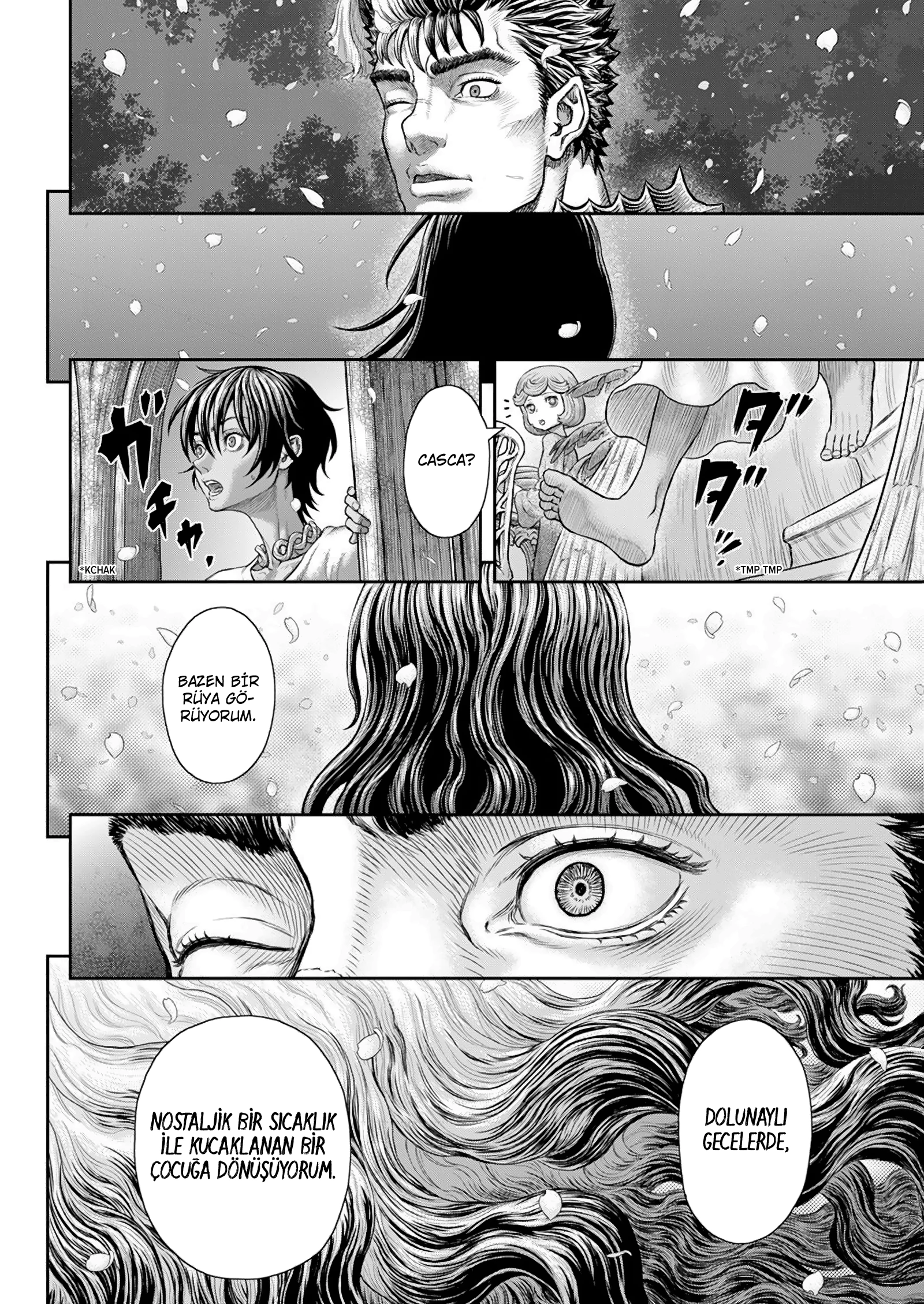 Read Berserk TR Manga Online