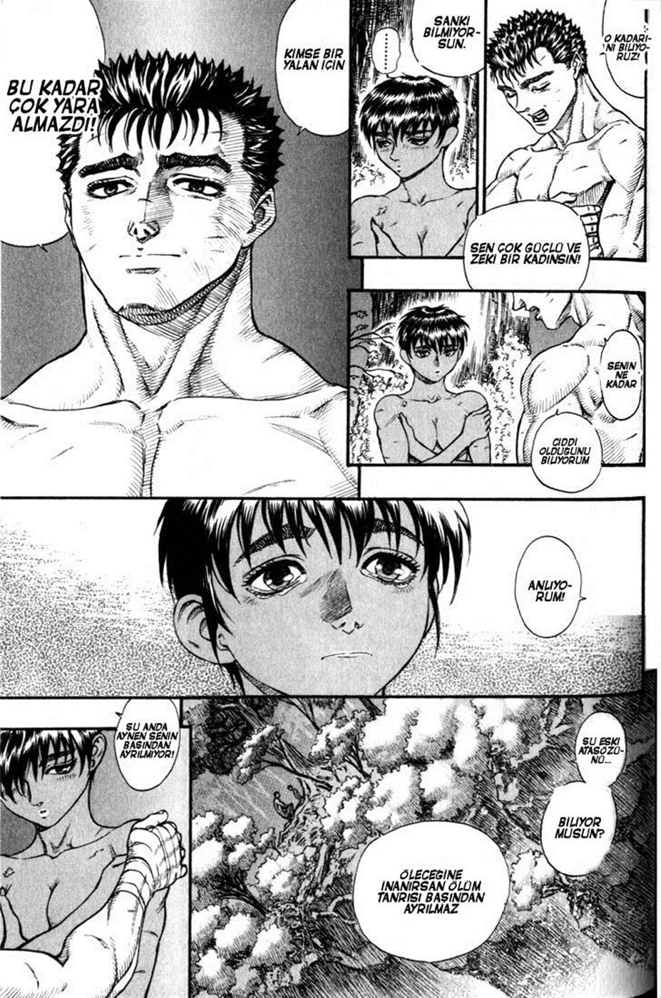 Read Berserk TR Manga Online