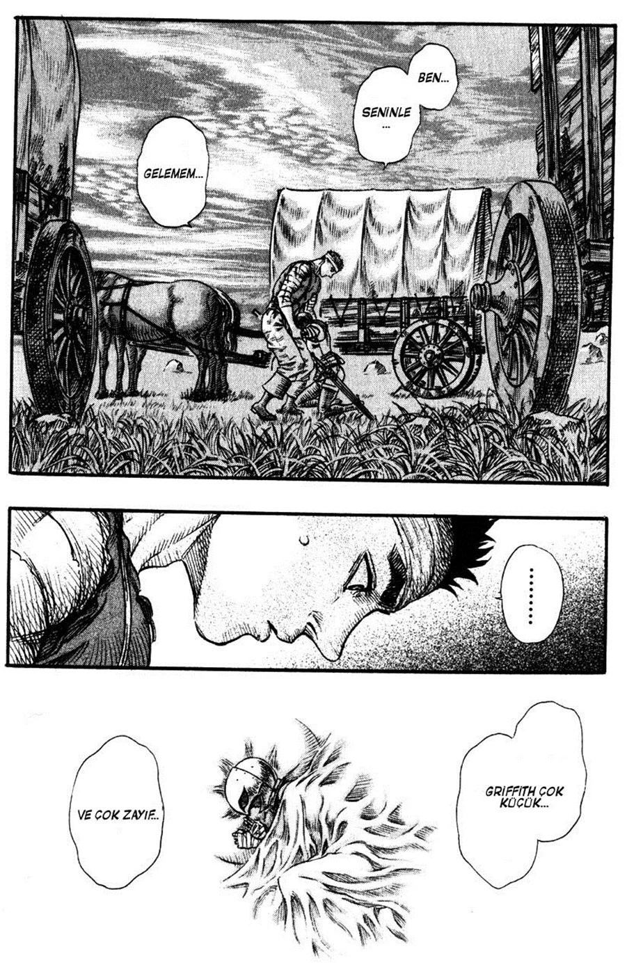 Read Berserk TR Manga Online
