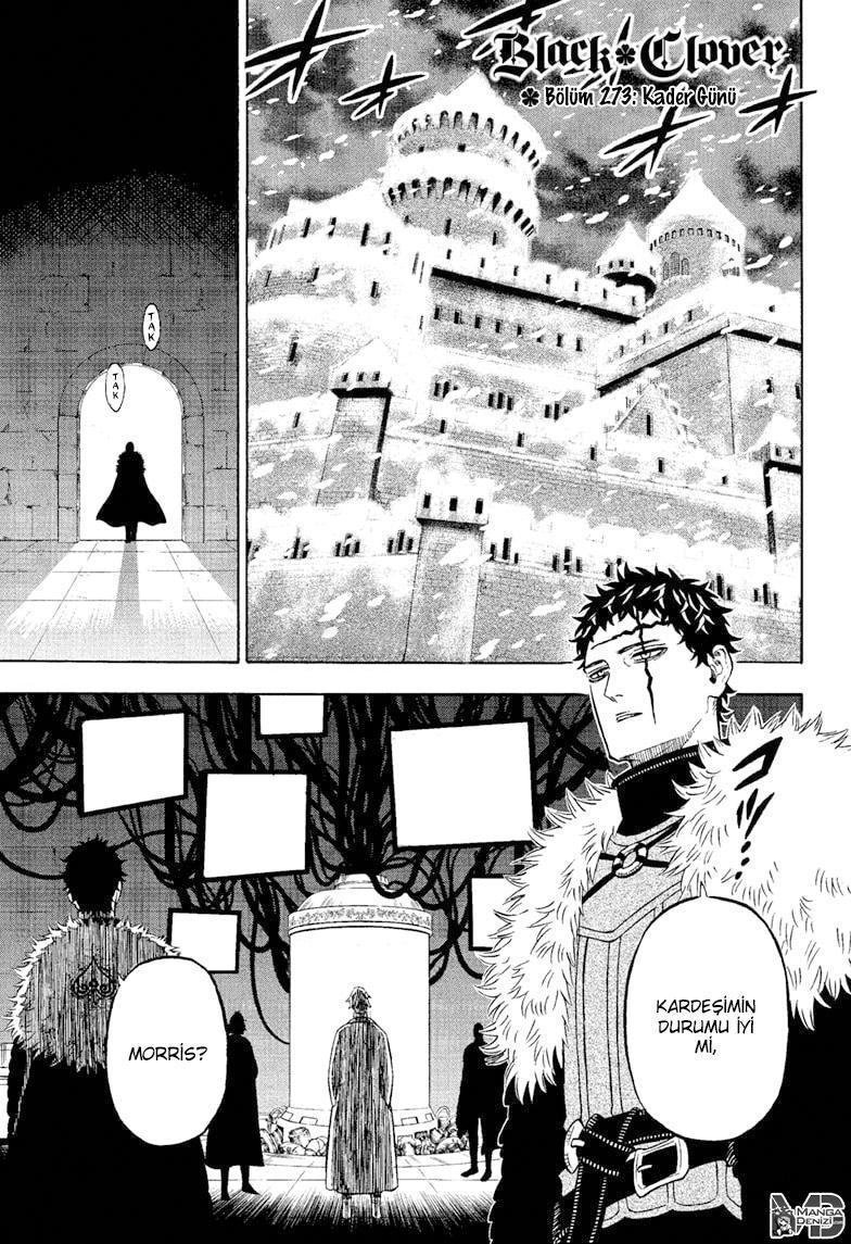 Read Black Clover TR Manga Online
