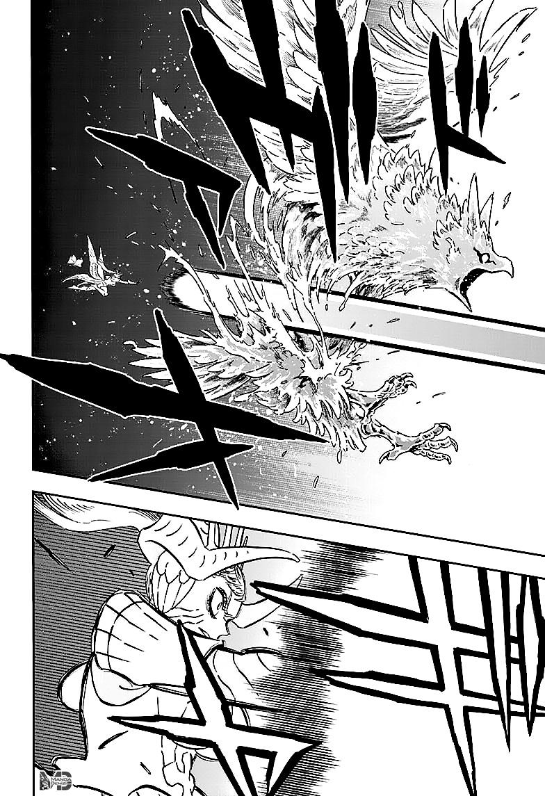 Read Black Clover TR Manga Online
