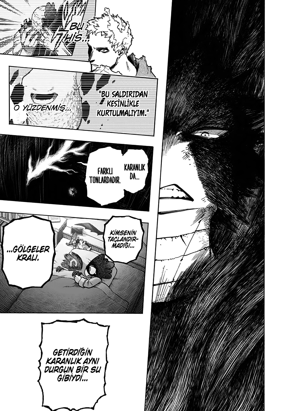 Read Boku no Hero Academia TR Manga Online
