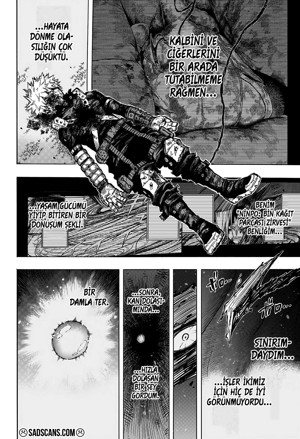 Read Boku no Hero Academia TR Manga Online