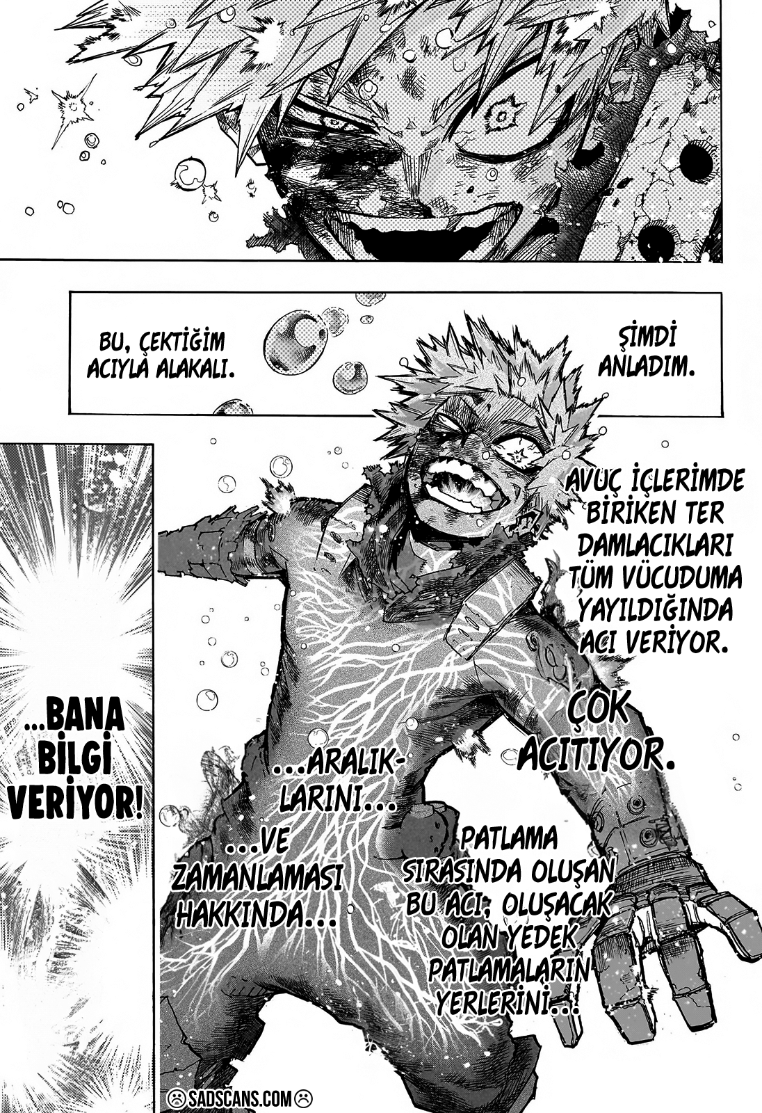 Read Boku no Hero Academia TR Manga Online