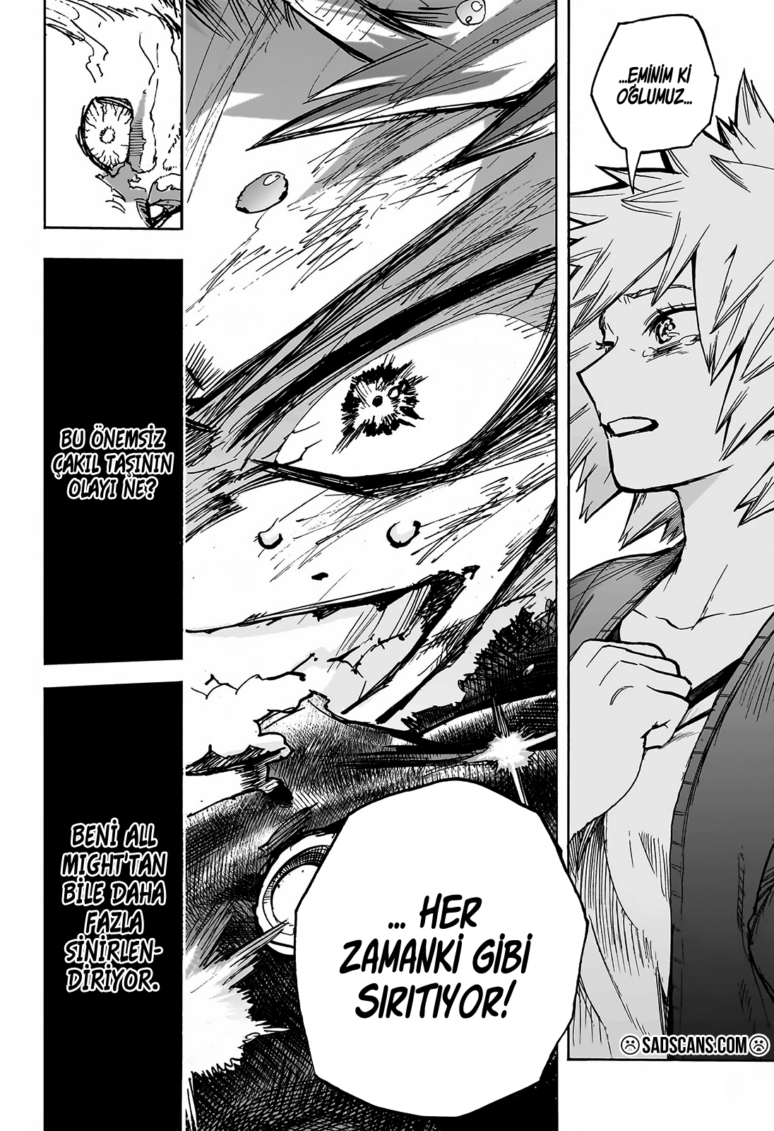 Read Boku no Hero Academia TR Manga Online