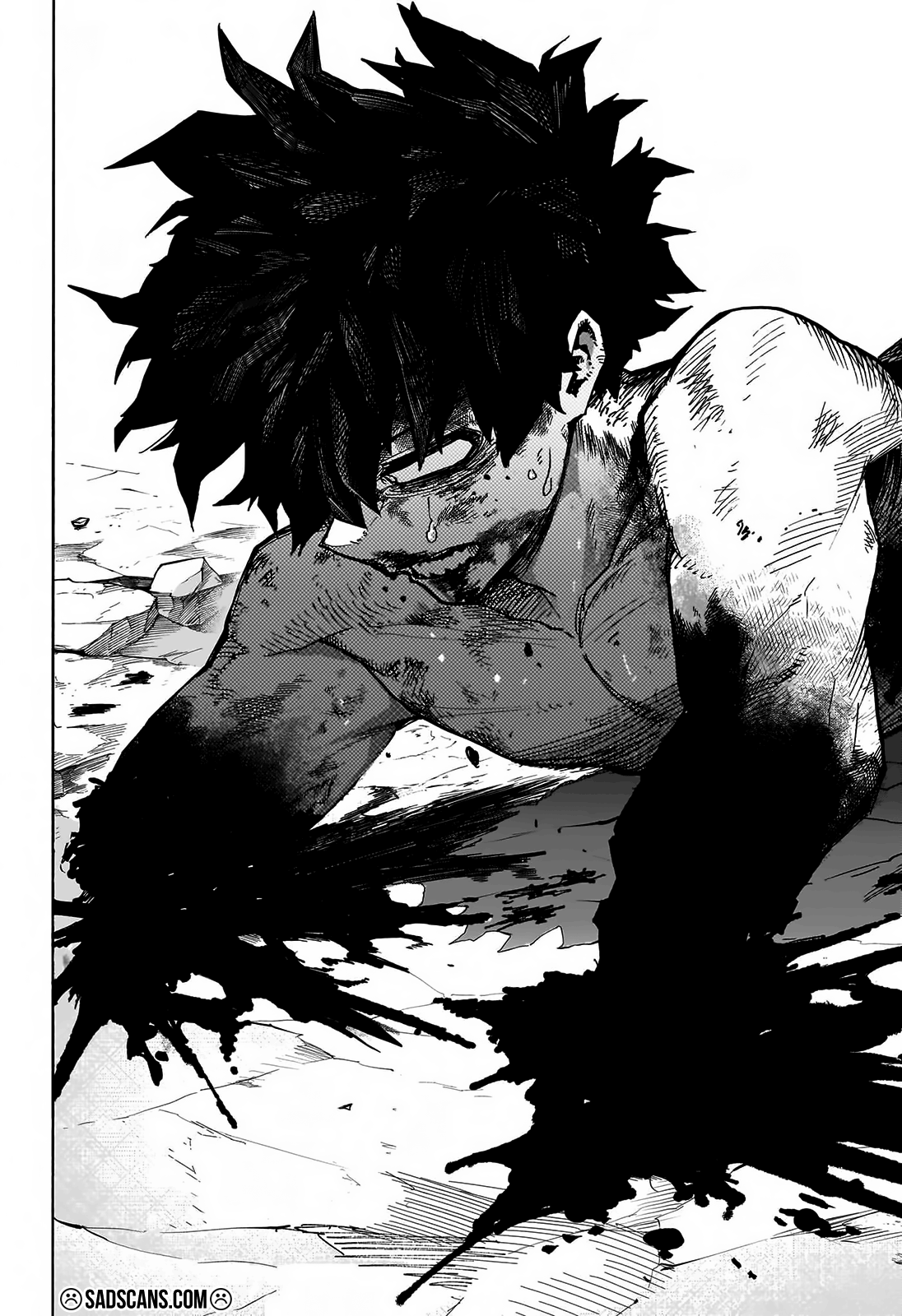 Read Boku no Hero Academia TR Manga Online