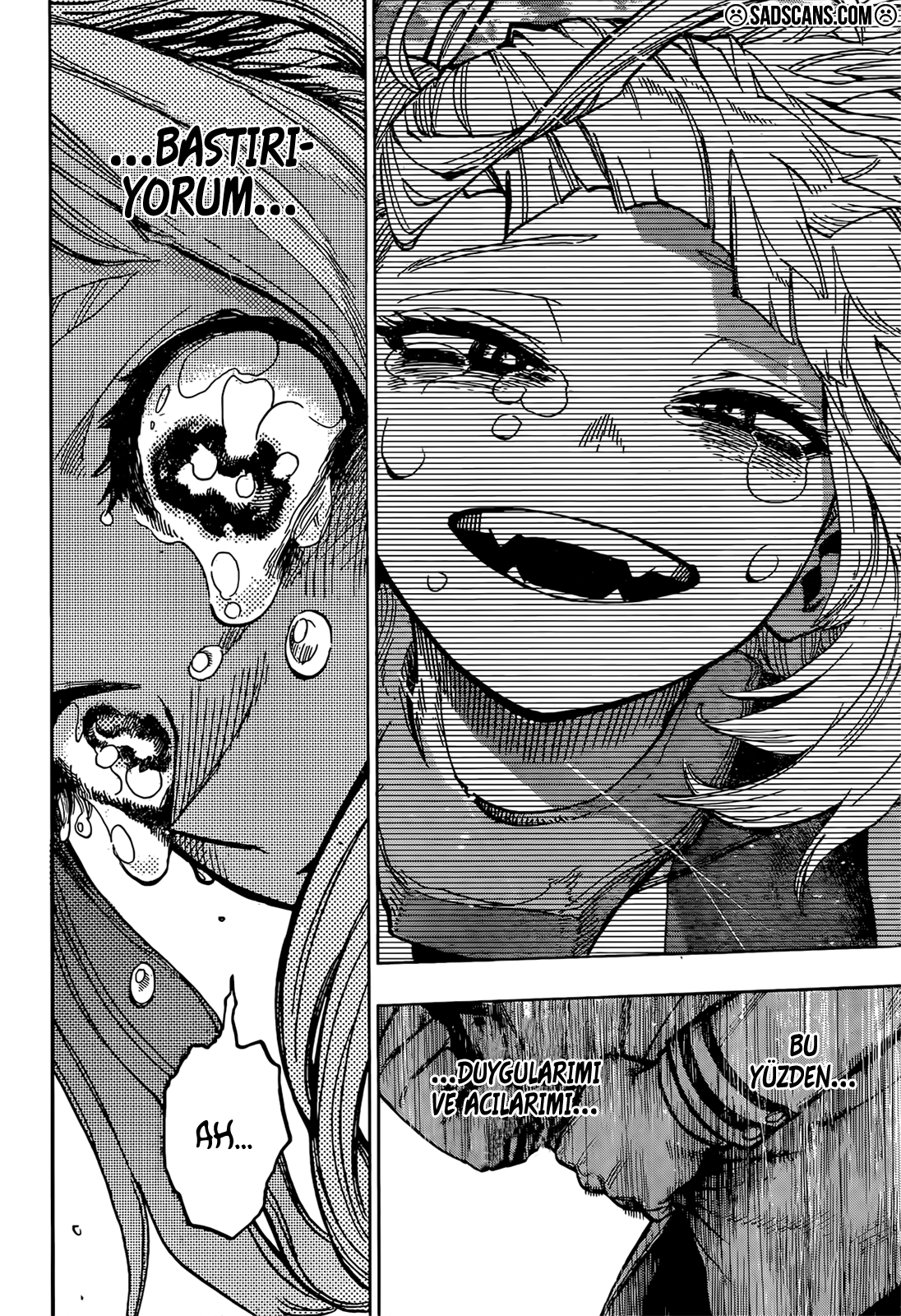 Read Boku no Hero Academia TR Manga Online