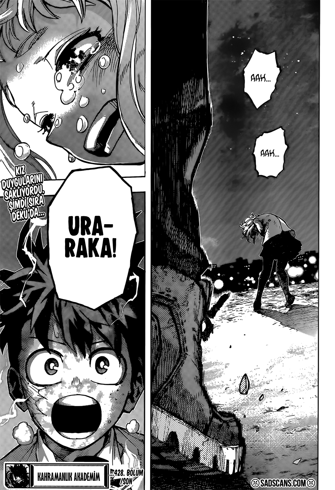 Read Boku no Hero Academia TR Manga Online
