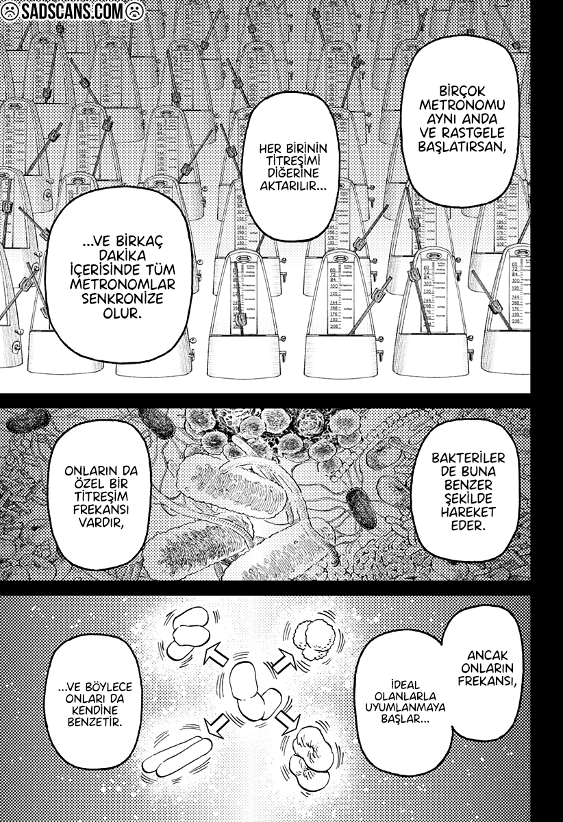 Read Dandadan TR Manga Online