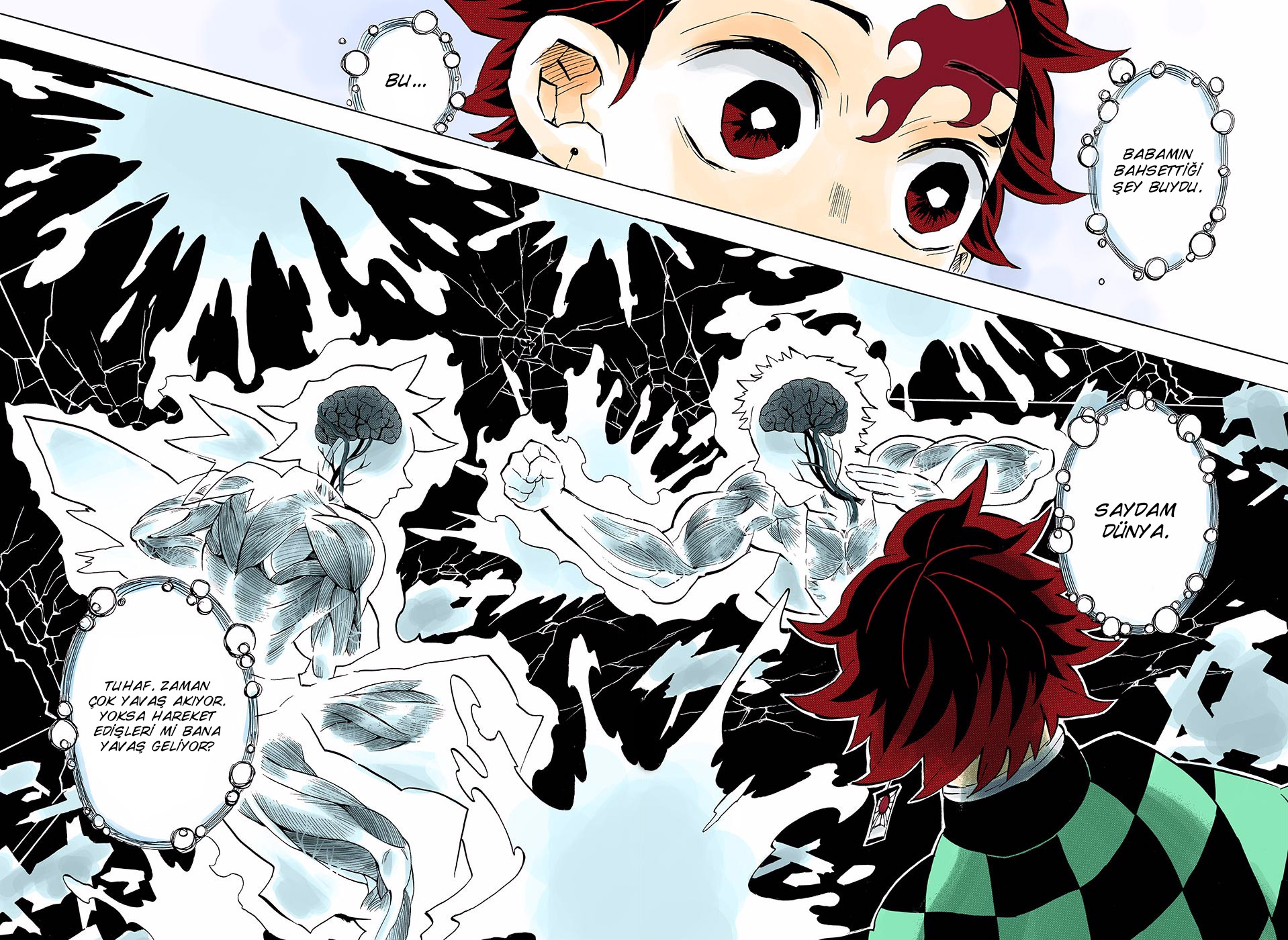 Read Kimetsu no Yaiba TR Manga Online