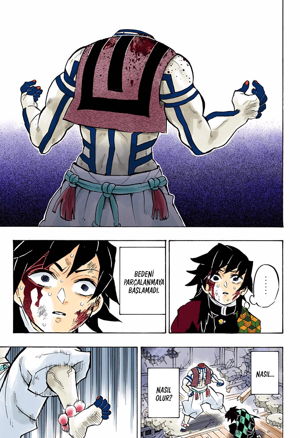Read Kimetsu no Yaiba TR Manga Online