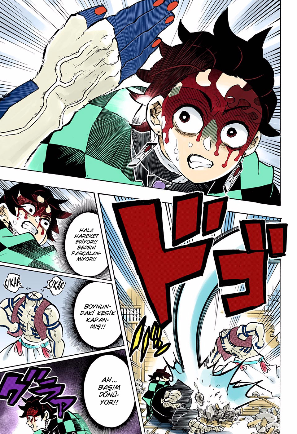 Read Kimetsu no Yaiba TR Manga Online