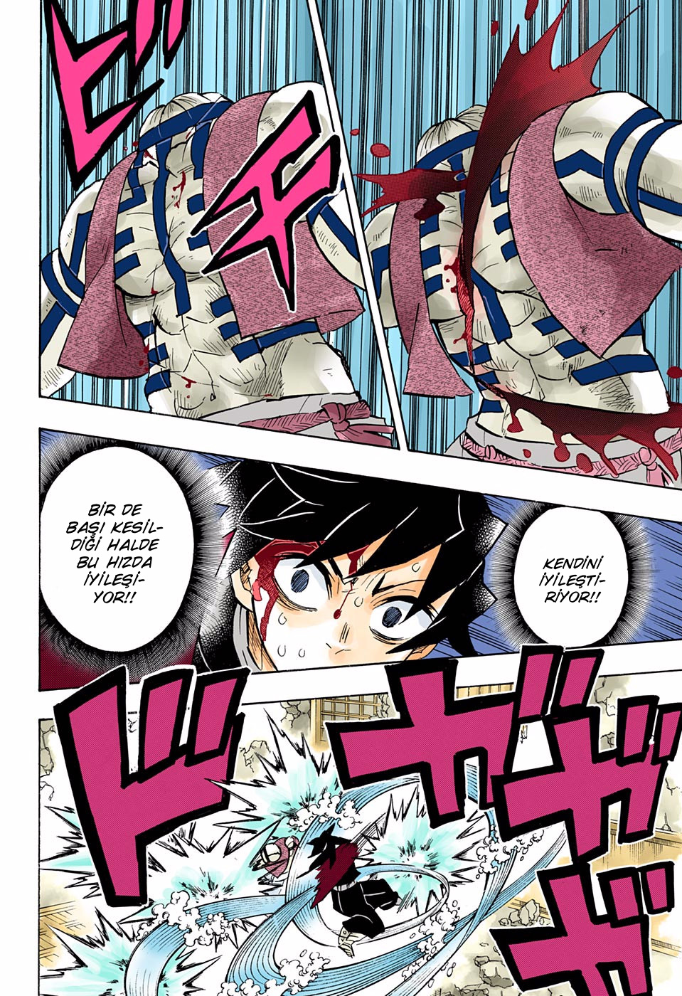 Read Kimetsu no Yaiba TR Manga Online