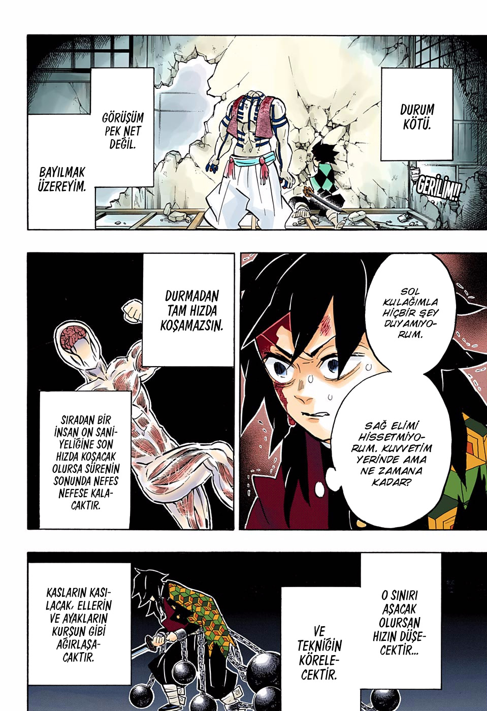 Read Kimetsu no Yaiba TR Manga Online