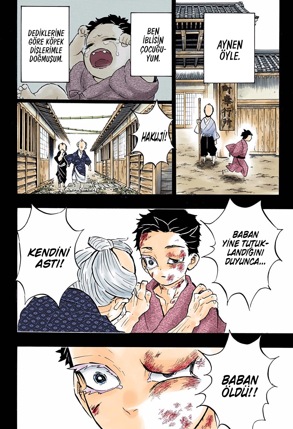 Read Kimetsu no Yaiba TR Manga Online