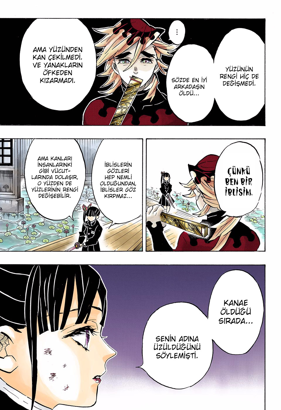 Read Kimetsu no Yaiba TR Manga Online