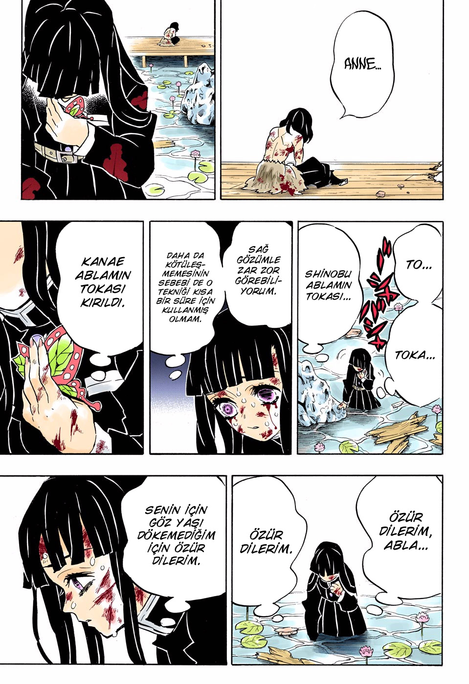 Read Kimetsu no Yaiba TR Manga Online