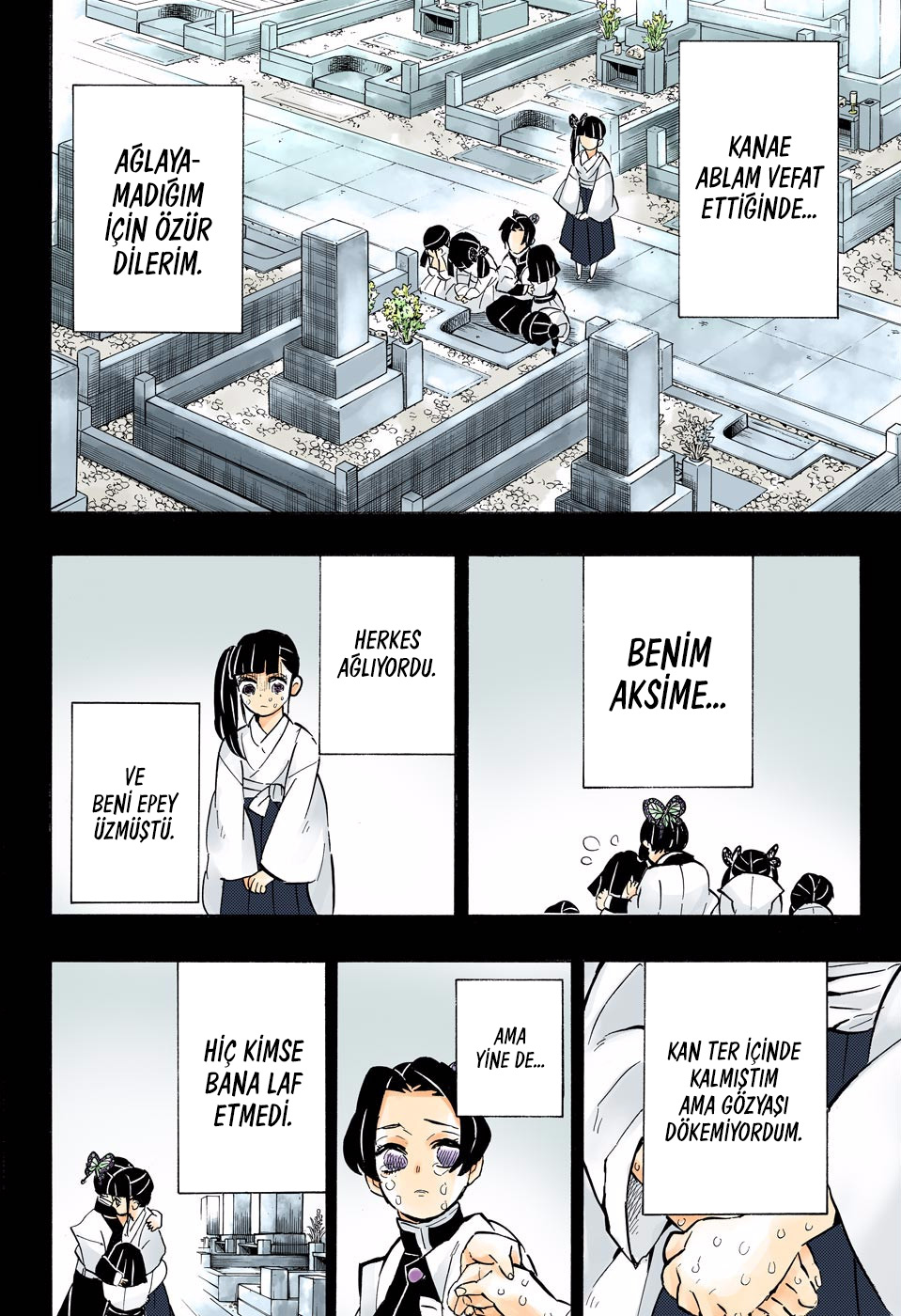 Read Kimetsu no Yaiba TR Manga Online