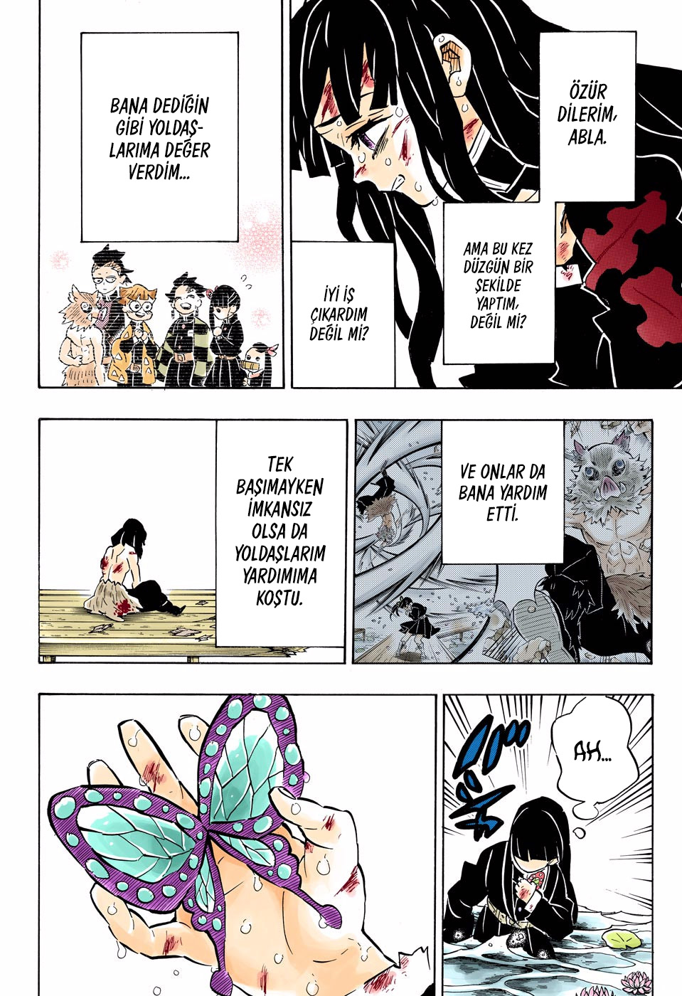 Read Kimetsu no Yaiba TR Manga Online