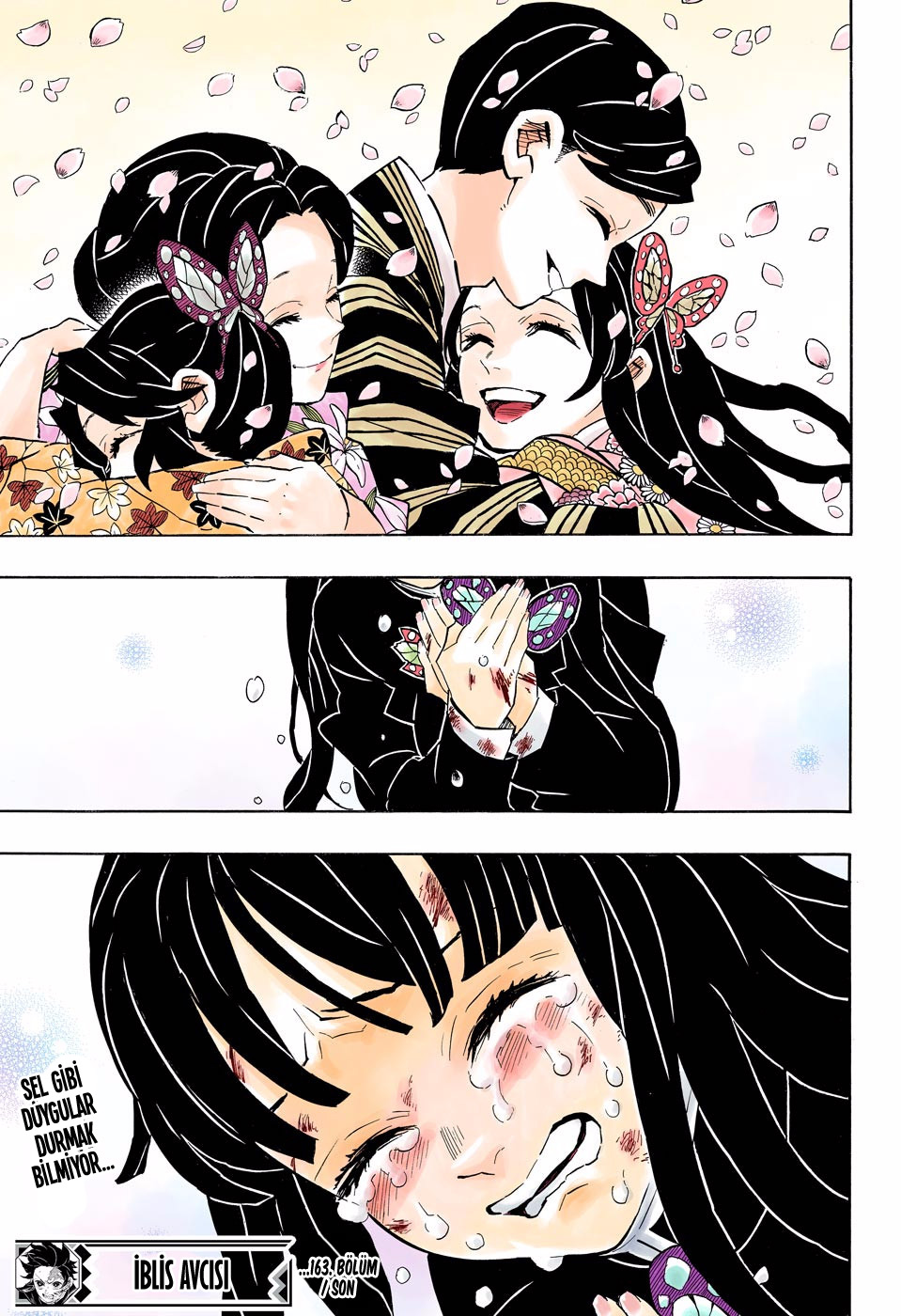 Read Kimetsu no Yaiba TR Manga Online