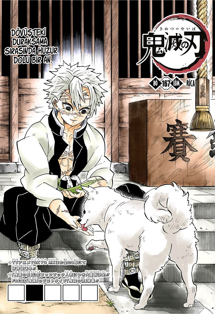 Read Kimetsu no Yaiba TR Manga Online